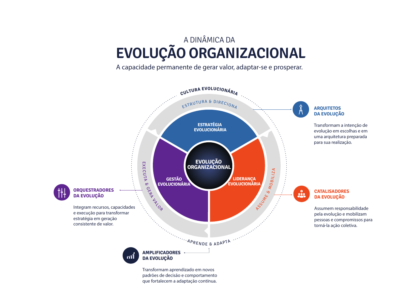 Dinâmica da evolução organizacional: estratégia estrutura e direciona, liderança assume e mobiliza, gestão executa e gera valor, e cultura aprende e adapta.